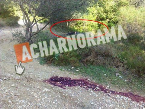 ΕΓΚΛΗΜΑ