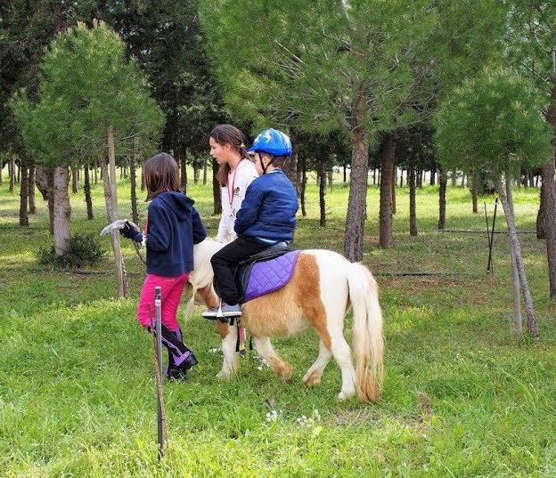 ΙΠΠΟΔΡΟΜΟΣ