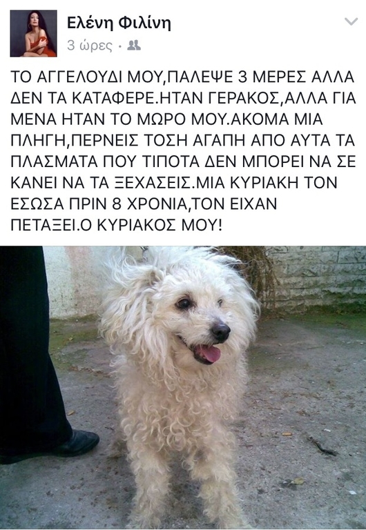 ΦΙΛΙΝΗ