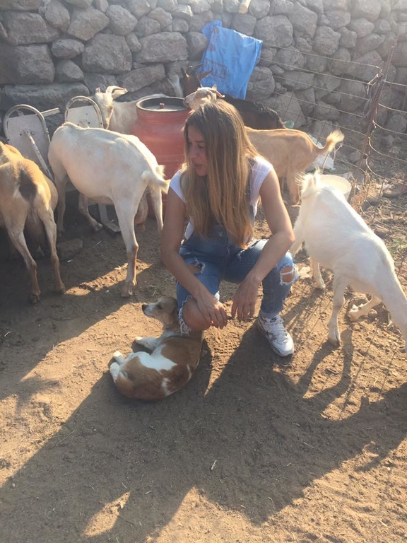 ΠΡΕΖΕΡΑΚΟΥ