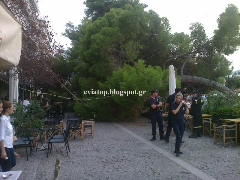 ΠΛΑΤΑΝΟΣ