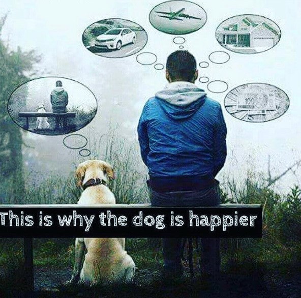 ΤΡΙΑΝΤΑΦΥΛΛΙΔΟΥ