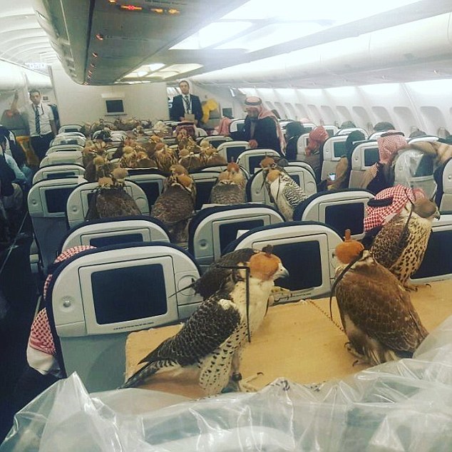 AEROPLANO