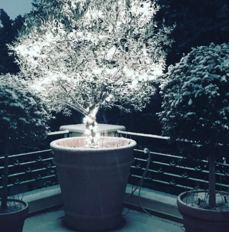 ΜΠΑΛΑΤΣΙΝΟΥ