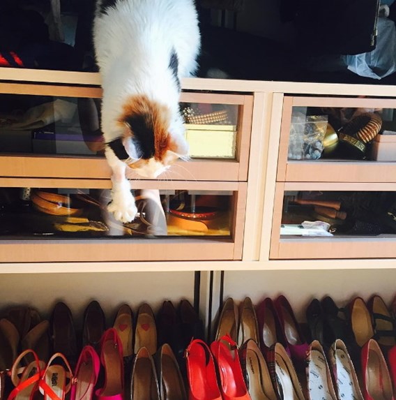 ΠΑΛΑΙΟΛΟΓΟΥ