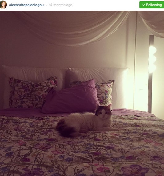 ΠΑΛΑΙΟΛΟΓΟΥ