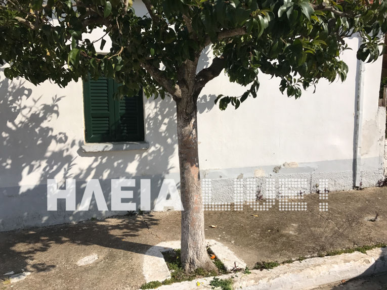 ΗΛΕΙΑ