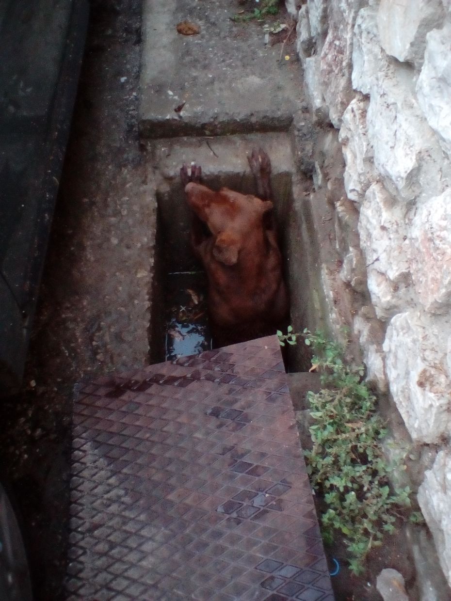 ΦΩΤΟ