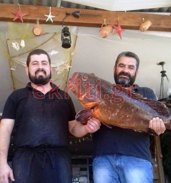 ΦΩΤΟ