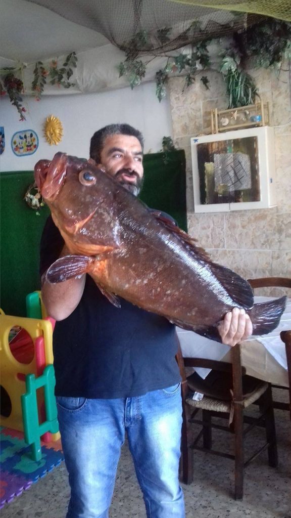 ΦΩΤΟ