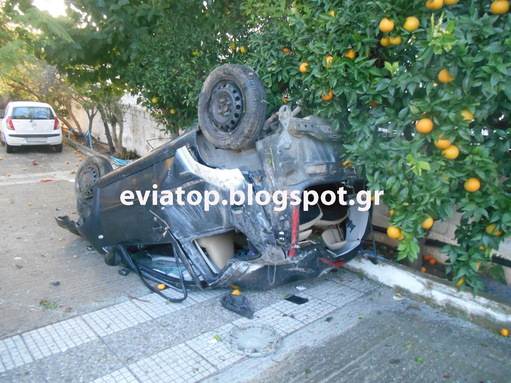 ΦΩΤΟ