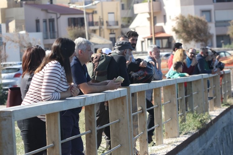ΦΩΤΟ