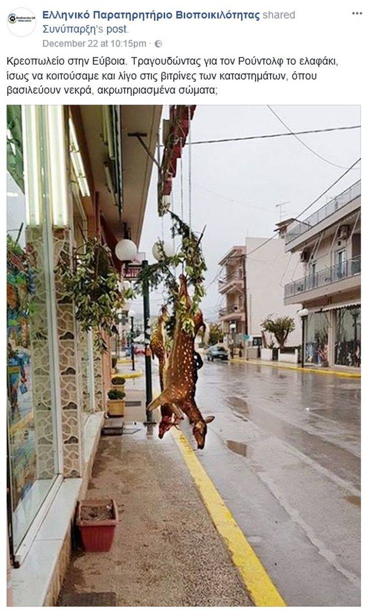 ΦΩΤΟ
