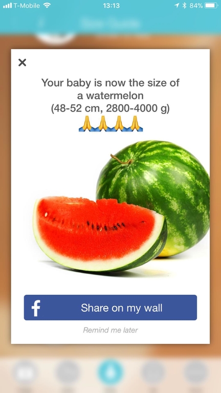 ΦΩΤΟ
