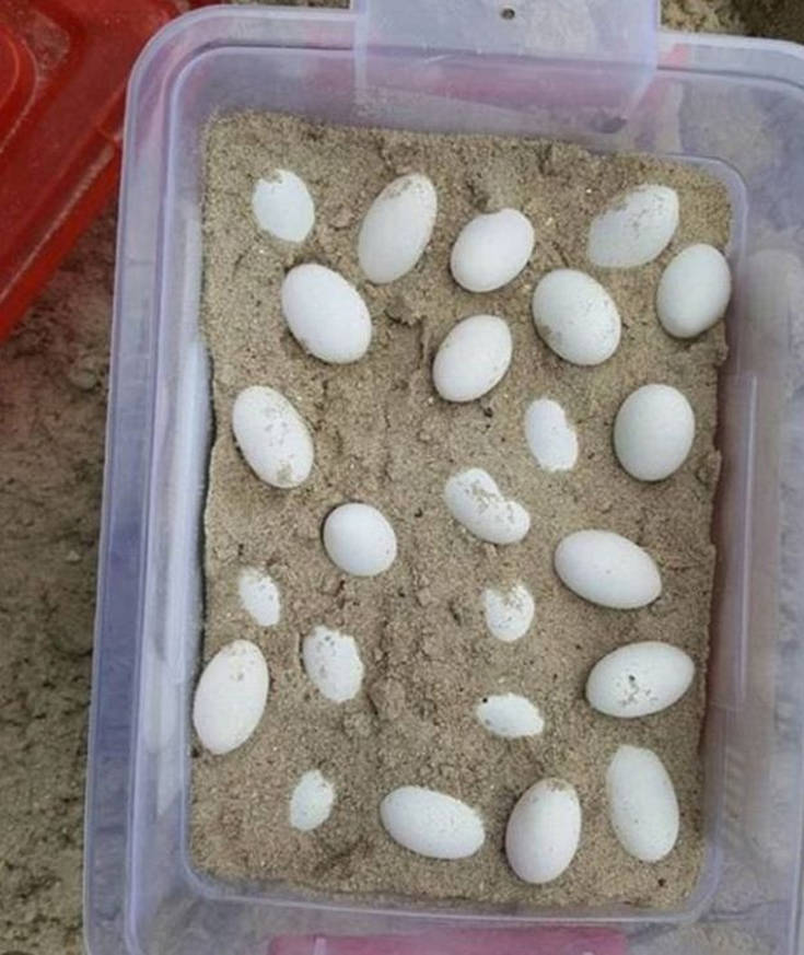 ΦΩΤΟ