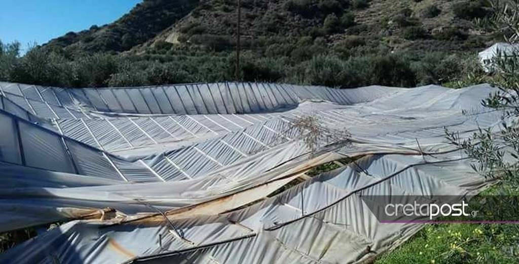 ΦΩΤΟ