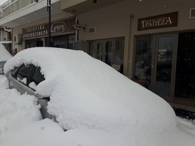 ΦΩΤΟ