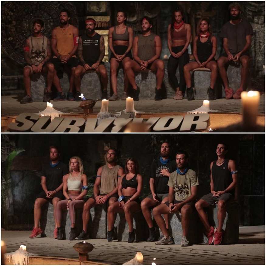 survivor