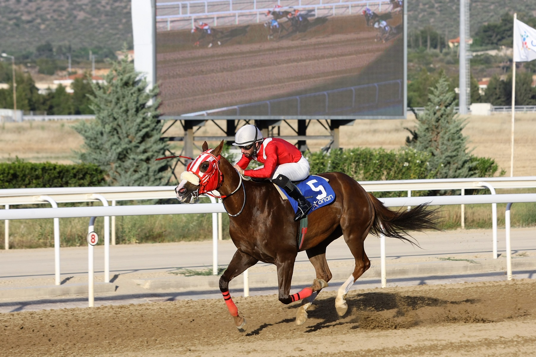 Επέστρεψε στις νίκες ο ΟΛΓΟΥΕΪΣ ΣΤΡΟΝΓΚ (GR)